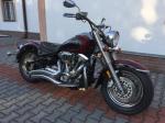 Yamaha XV 1600 Wild Star